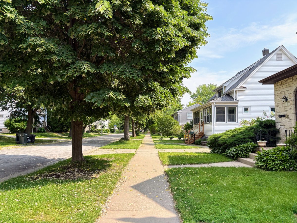 Neighborhood with family homes and tree-lined streets